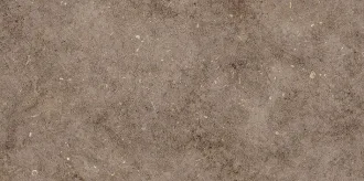 Болонья 4