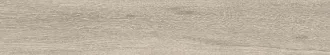 Orsa Gris