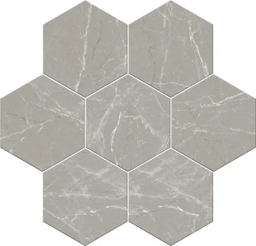 Керамогранит Atrivm Cosmo Silver  20x24 матовый