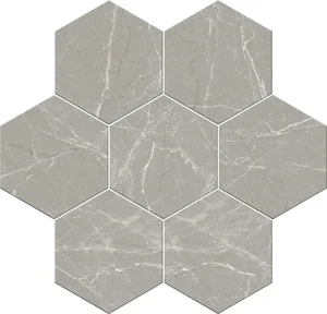 Керамогранит Atrivm Cosmo Silver  20x24 матовый