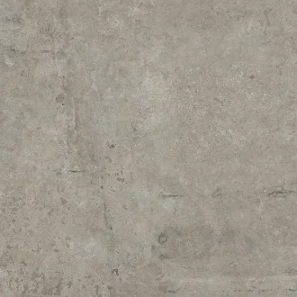 Le Reverse Antique Taupe RS053