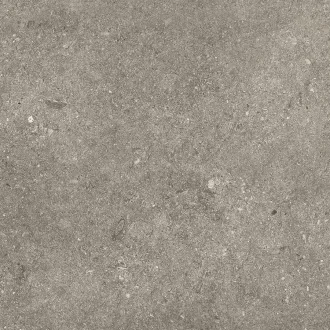 Le Reverse Elegance Taupe RS043