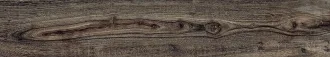 Yosemite Mulberry Lapp/Rett 121010