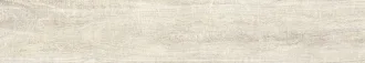 Yosemite Shell Rett 121001