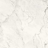 Aesthetica AE CAL6 120 LP