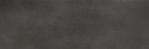 Керамогранит Laminam Calce Nero LAMF007015 (Толщина 5,6мм) 100x300 матовый