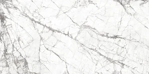 Керамогранит Laminam I Naturali Invisible White Nat LAMF008642_IT (Толщина 5,6 мм) 162x324 натуральный