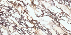 Керамогранит Laminam I Naturali LAMF0M0181_IT Calacatta Viola Book Match Face B 12,5mm 162x324 матовый