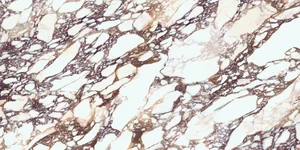 Керамогранит Laminam I Naturali LAMFFM0268_IT Calacatta Viola Book Match Face A Luc 12,5mm 162x324 глянцевый