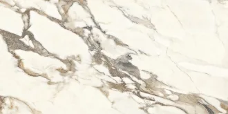 Calacatta Bronze