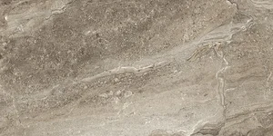 Плитка Laparet Gregory Коричневый 34045 25x50 глянцевая