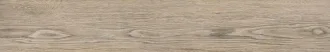 Ironwood Desert