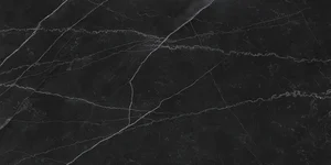 Керамогранит Laparet Опера Неро чёрный LP6012G0201R 59,5x119,1 матовый карвинг