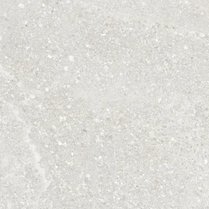 Керамогранит Laparet Pallada Светло-серый Обрезной SG646320R 60x60 матовый