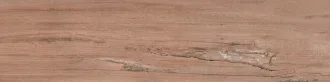 Plant David Коричневый