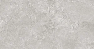 Керамогранит Laparet Pluto Silver Matte SG50005220R 60x120 матовый