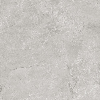 Pluto Silver Matte SG625820R