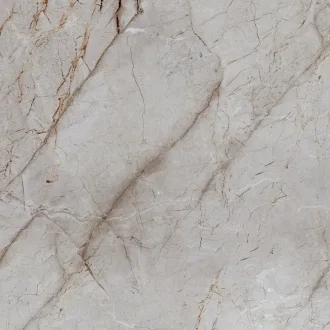 Silver Root