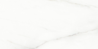 Voyage Blanco Polished SG50002322R