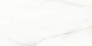 Керамогранит Laparet Voyage Blanco Polished SG50002322R 60x120 полированный