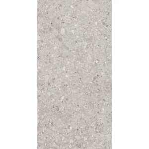 Керамогранит Lasselsberger Иней 6493-0136 серый 60x120 матовый
