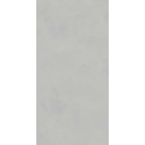 Керамогранит Lasselsberger Иней 6493-0198 Техно Бетон серый 60x120 матовый