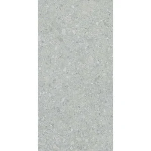 Керамогранит Lasselsberger Иней 6493-0196 Техно серый 60x120 матовый