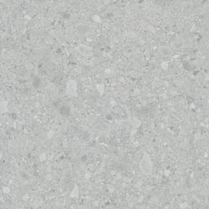 Керамогранит Lasselsberger Иней 6461-0425 Техно серый 60x60 матовый