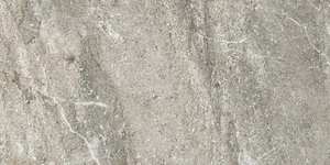 Керамогранит Lasselsberger Титан 6060-0256 30x60 матовый