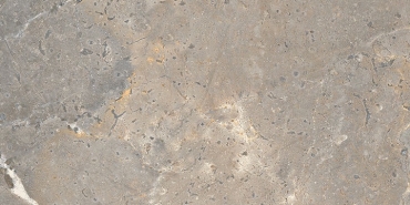 Керамогранит Lea Ceramiche Anthology 03 Earth Nat LS6AL30 120x278 матовый