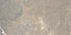 Керамогранит Lea Ceramiche Anthology 03 Earth Nat LS6AL30 120x278 матовый