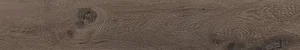 Керамогранит Ariana Legend Brown Ret. 6120225 20x120 матовый