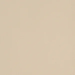 Керамогранит Leonardo Icon Almond 60L 60x60 глянцевый
