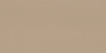 Керамогранит Leonardo Icon Beige 12 60x120 матовый
