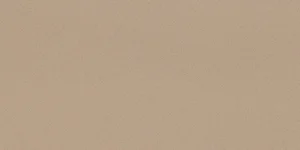 Керамогранит Leonardo Icon Beige 12 60x120 матовый