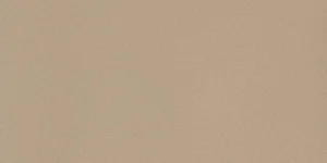 Керамогранит Leonardo Icon Beige 36 30x60 матовый