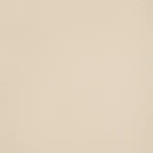 Керамогранит Leonardo Icon Cream 120 120x120 матовый