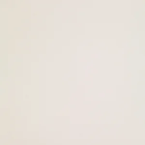Керамогранит Leonardo Icon White 120 120x120 матовый
