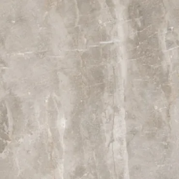 Керамогранит Leopard Rock Gris 60x60 полированный