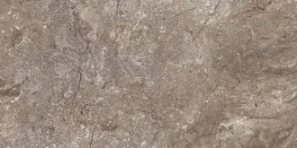 Stone Grey Polished