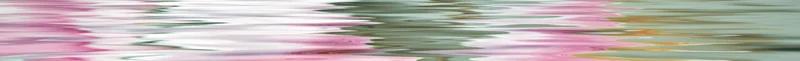Бордюр Ceracasa Listello Flower 10 Orchiee Brillo 5x73 глянцевый