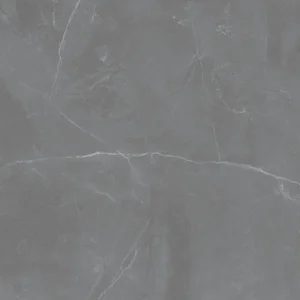 Керамогранит Maciej Zien Grey Pulpis Sat 120x120 сатинированный