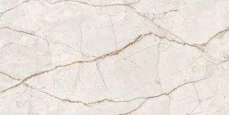 Radice Pol Mti00000016FL