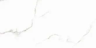 Vera Lapp Mti00000018FL