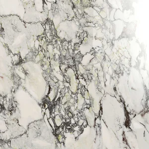 Керамогранит Marazzi Italy Allmarble Capraia Lux Rett M3CS 60x60 полированный