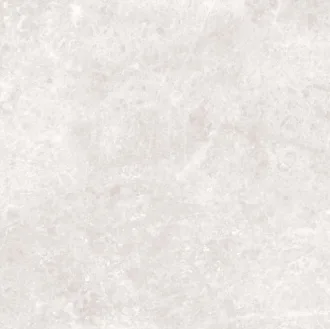 Marble Light Grey Polished