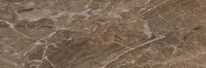 Керамогранит Versace Marble Marrone Onice 240037 19,5x58,5 лаппатированный