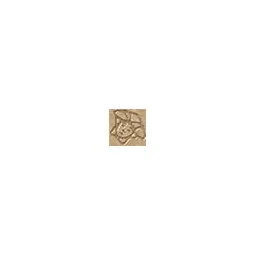 Вставка Versace Marble Toz Medusa Oro Sab 240392 2,7x2,7 матовая