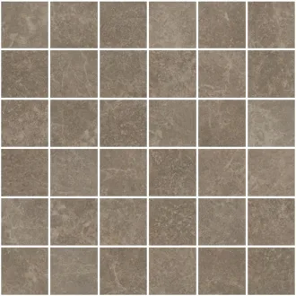 Evolution Quantum Mos (4,7X4,7) 113603