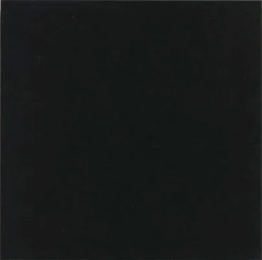 Керамогранит Vives Monocolor Negro 20x20 матовый